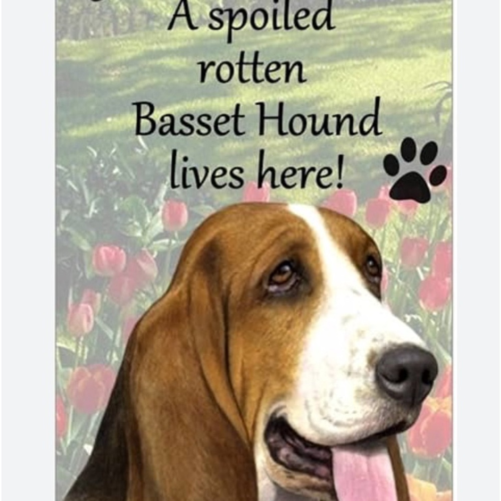 New Basset Hound Doorknob Hanger